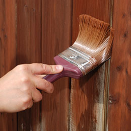 Fence Painting